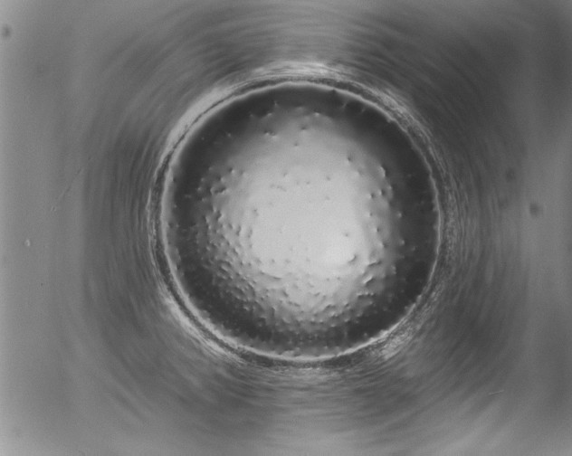 X0000057091382200509120908