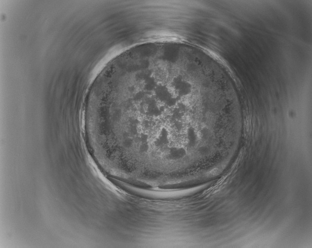 X0000057091383200509120908