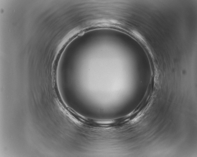 X0000057091384200509120908