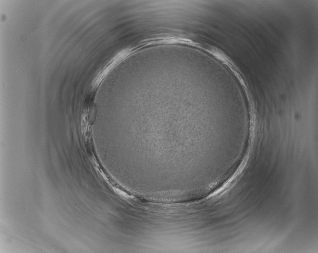 X0000057091385200509120908