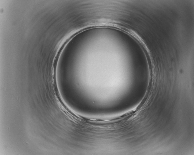 X0000057091388200509120908