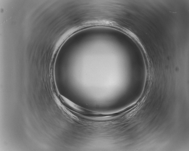 X0000057091389200509120908