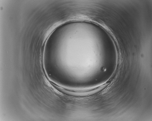 X0000057091390200509120908