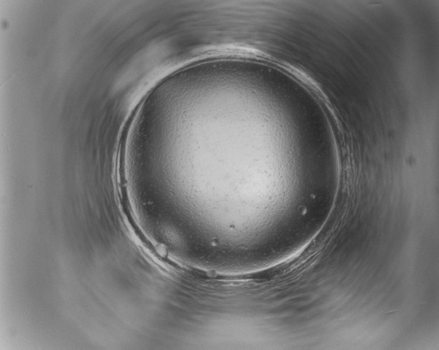 X0000057091391200509120908