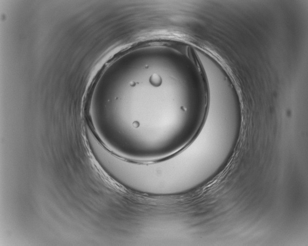 X0000057091392200509120908