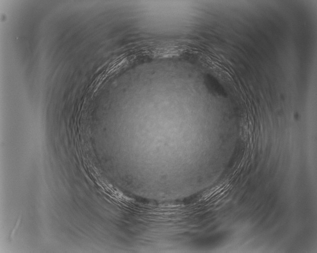 X0000057091393200509120907