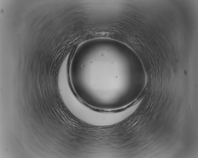 X0000057091394200509120907