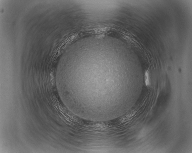 X0000057091395200509120907