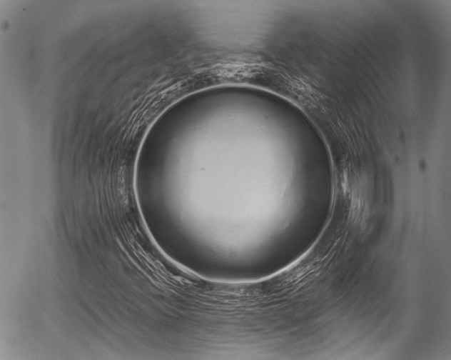 X0000057091396200509120907