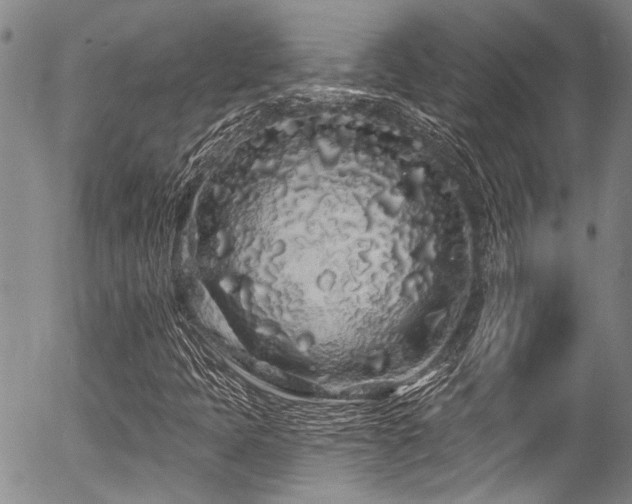 X0000057091397200509120907