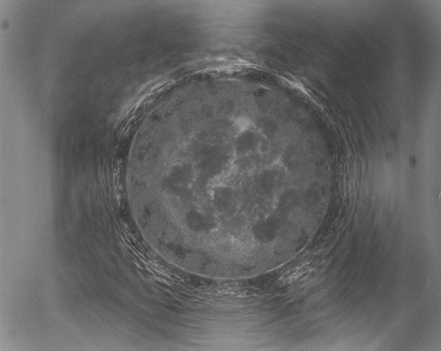 X0000057091399200509120907