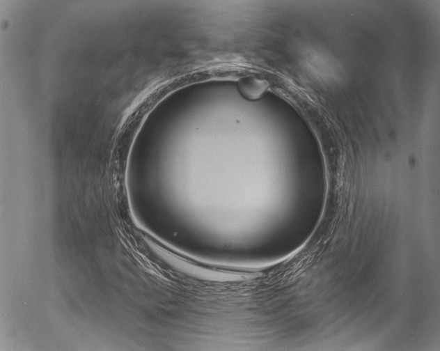 X0000057091400200509120907