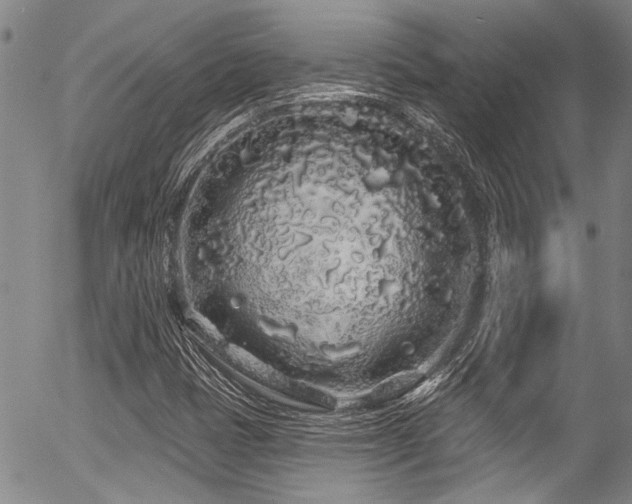 X0000057091401200509120907