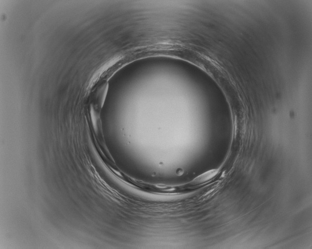 X0000057091402200509120907