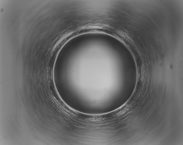 X0000057091404200509120907