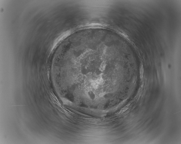 X0000057091405200509120907