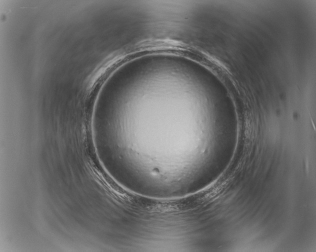 X0000057091407200509120907