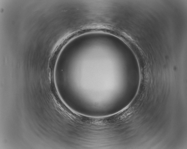 X0000057091408200509120907