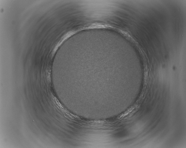 X0000057091409200509120907