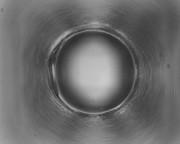 X0000057091410200509120907