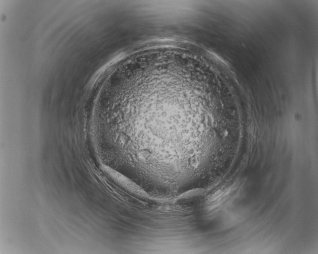 X0000057091411200509120907