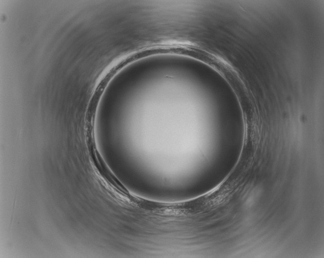 X0000057091412200509120907