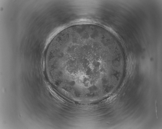 X0000057091413200509120907