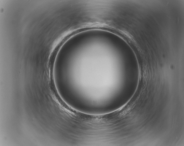 X0000057091414200509120907