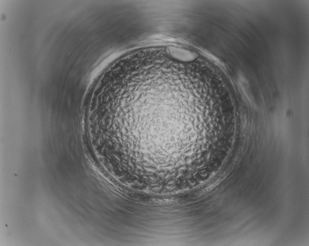 X0000057091415200509120907