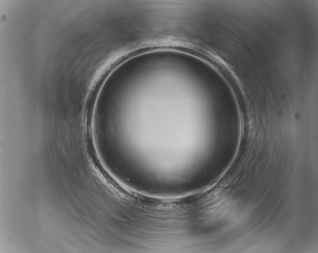 X0000057091416200509120907