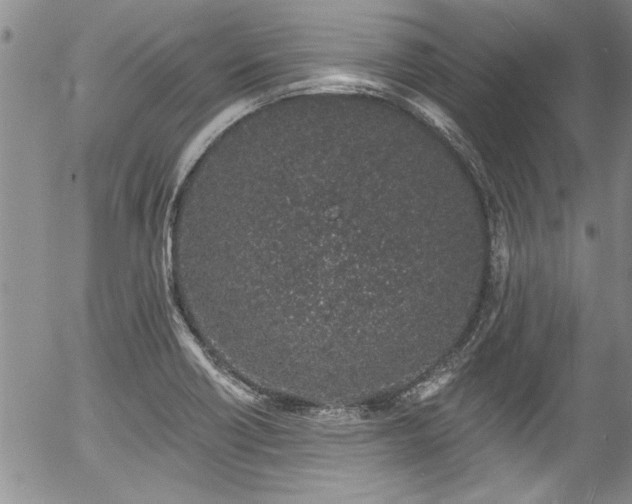 X0000057091418200509120907