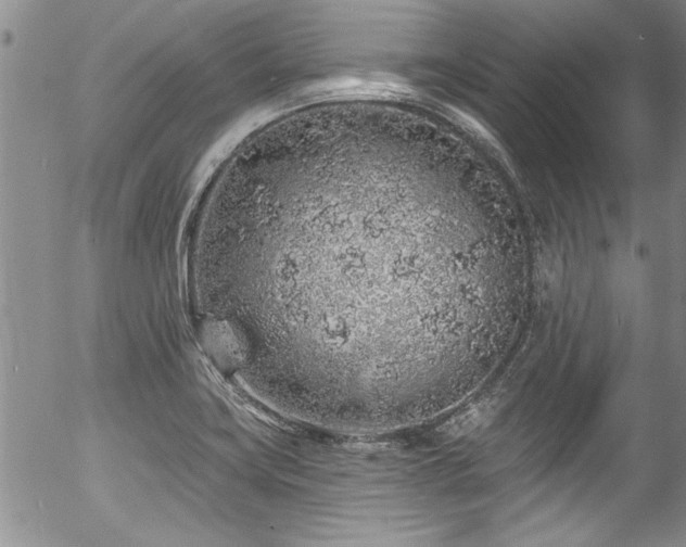 X0000057091419200509120907