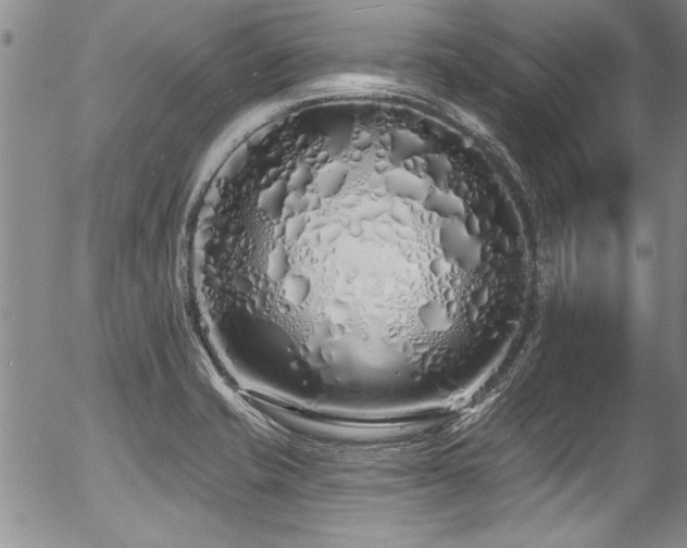 X0000057091421200509120907