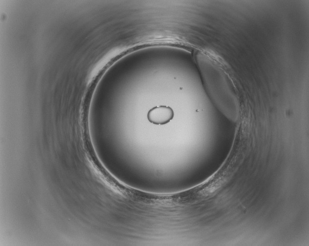 X0000057091422200509120907