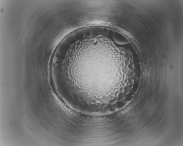 X0000057091423200509120908