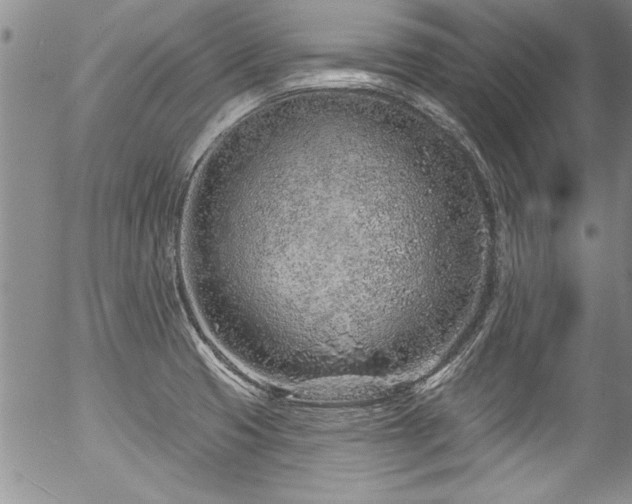 X0000057091425200509120908