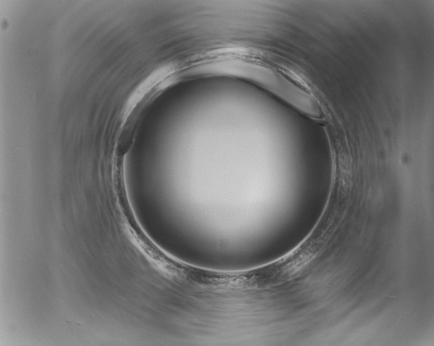 X0000057091426200509120908