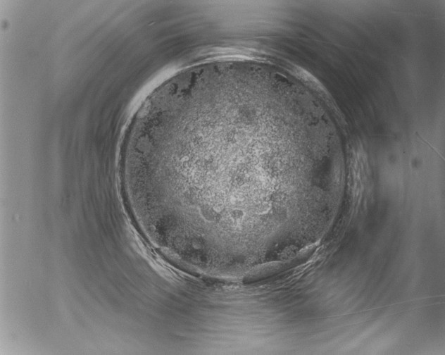 X0000057091427200509120908