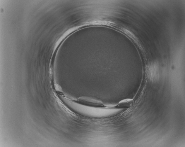 X0000057091428200509120908