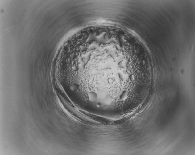 X0000057091429200509120908