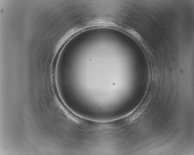 X0000057091430200509120908