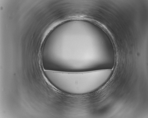 X0000057091432200509120908