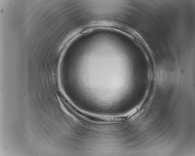 X0000057091433200509120908