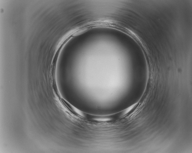 X0000057091434200509120908