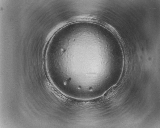 X0000057091435200509120908