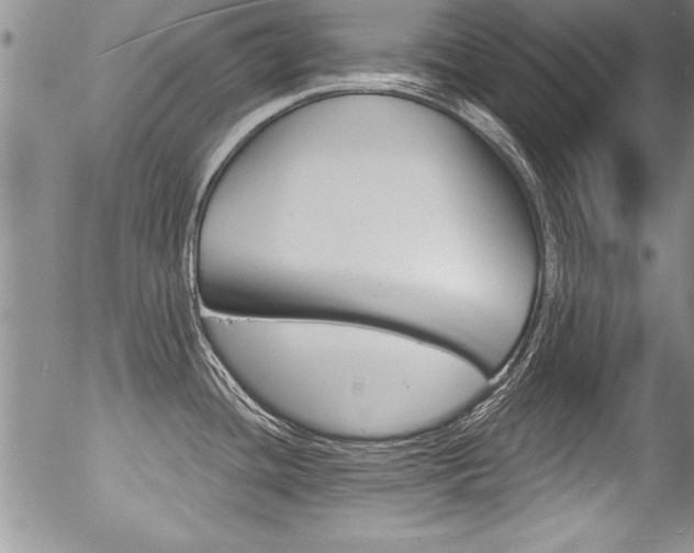 X0000057091436200509120908