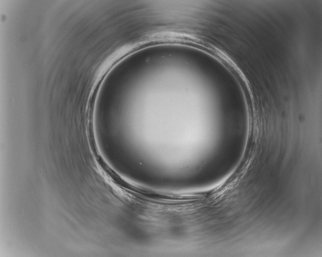 X0000057091437200509120908