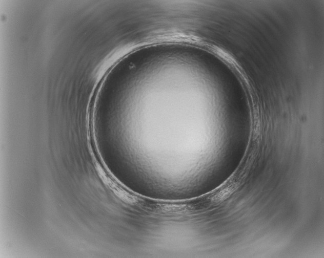 X0000057091439200509120908