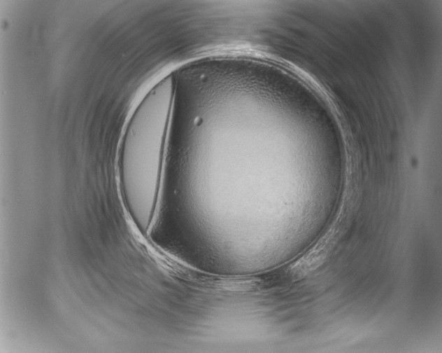 X0000057091440200509120908