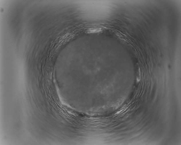 X0000057091441200509120907